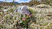 olgamariet_20230522_646b93d815a1d.jpg