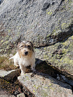 olgamariet_20230608_64822d83773cd.jpg