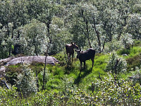 olgamariet_20240624_6679ce46ae78e.jpg