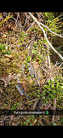 olgamariet_20240624_6679d1298d59c.jpg