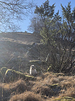olgamariet_20250216_67b2363260cf5.jpg