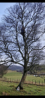 olgamariet_20250222_67b9915379fb6.jpg
