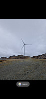olgamariet_20250222_67b99154a945a.jpg