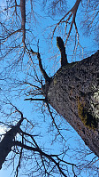 olgamariet_20250329_67e81df749065.jpg