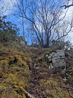 olgamariet_20250329_67e81df8a46eb.jpg
