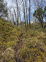 olgamariet_20250329_67e81dfe788b4.jpg