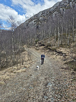 olgamariet_20250406_67f2df5305df0.jpg