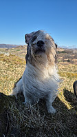 olgamariet_20250406_67f2df960dbae.jpg