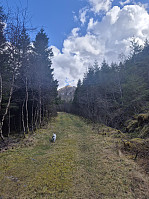 olgamariet_20250414_67fd54f143e13.jpg