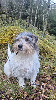 olgamariet_20250414_67fd54f536ee6.jpg