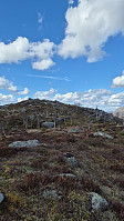 olgamariet_20250414_67fd54f73bdbc.jpg