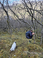 olgamariet_20250414_67fd550748d0e.jpg