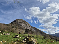 olgamariet_20250414_67fd550c6d957.jpg