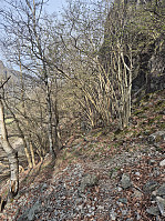 olgamariet_20250415_67fea85748d56.jpg