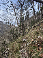 olgamariet_20250415_67fea86006ce9.jpg