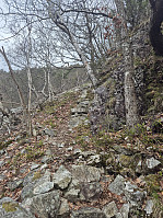 olgamariet_20250415_67fea8653aa0b.jpg