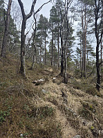 olgamariet_20250415_67fea8686a8aa.jpg