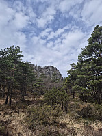 olgamariet_20250415_67fea86b2bf05.jpg