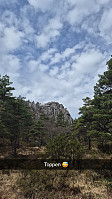 olgamariet_20250415_67fea86cef9db.jpg