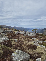 olgamariet_20250415_67fea870e8539.jpg