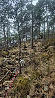 olgamariet_20250417_68011d999b7ee.jpg