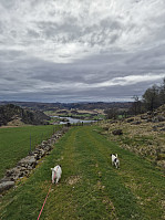 olgamariet_20250420_6804f6e000cd8.jpg