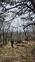 olgamariet_20250420_6804f6e13ef25.jpg