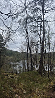 olgamariet_20250421_6806a8f374b45.jpg