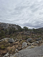 olgamariet_20250421_6806a8f66adbd.jpg