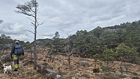 olgamariet_20250421_6806a8f7d65d1.jpg
