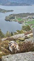 olgamariet_20250421_6806a8faaf66e.jpg