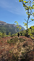 olgamariet_20250426_680d3753c3815.jpg