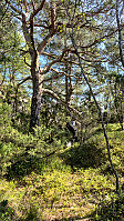 olgamariet_20250426_680d37562f04f.jpg