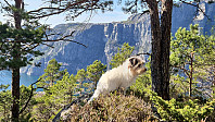 olgamariet_20250426_680d376271db6.jpg