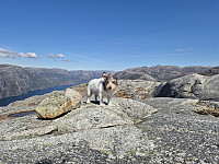 olgamariet_20250426_680d376d6b292.jpg