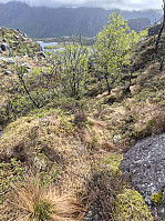olgamariet_20250502_6815255ea5d52.jpg