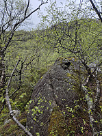 olgamariet_20250502_681525615820f.jpg