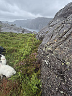 olgamariet_20250629_6861ae2294218.jpg