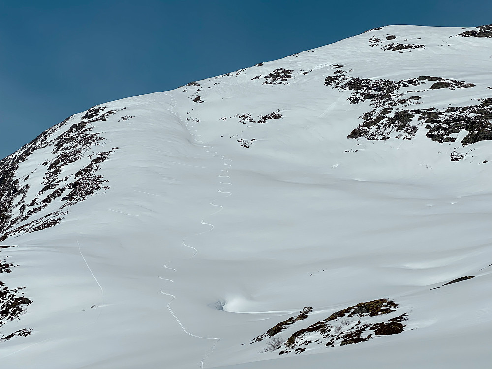 Ruta opp og ned Kvannjulfjellet. Særdeles god skikøyring på ein stad der det neppe er mange besøk i løpet av vinteren