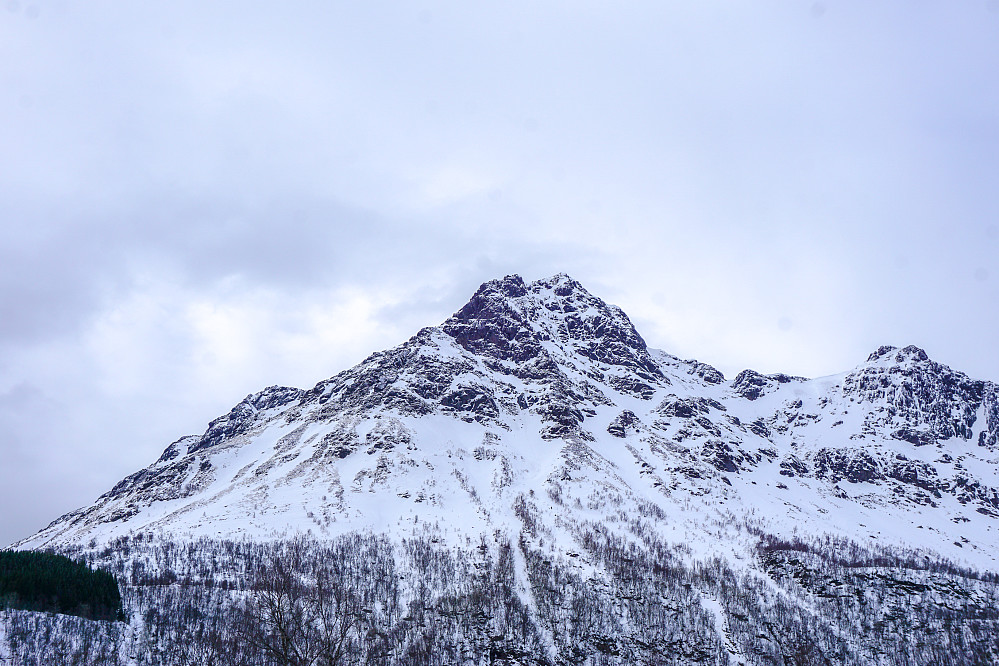 Hansbakkfjellet