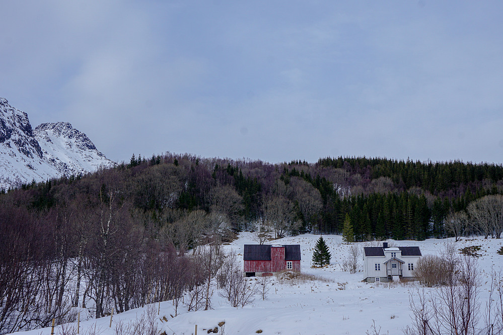 Flott landskap