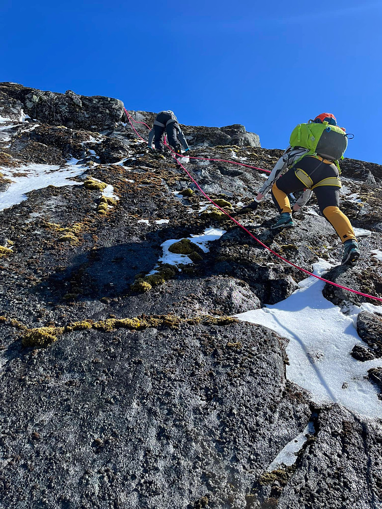 Svaet i toppen på Nordkloa