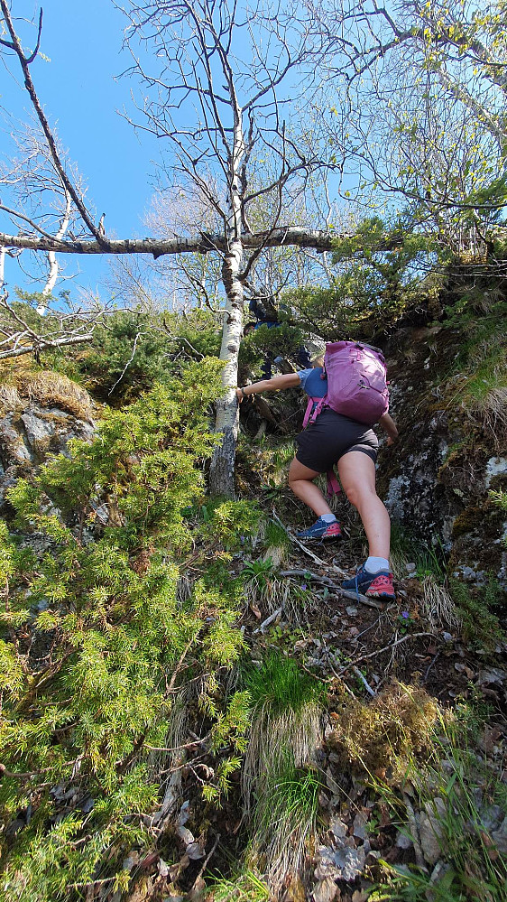 Nora busher oppover. Belønningen venter like ovenfor. 