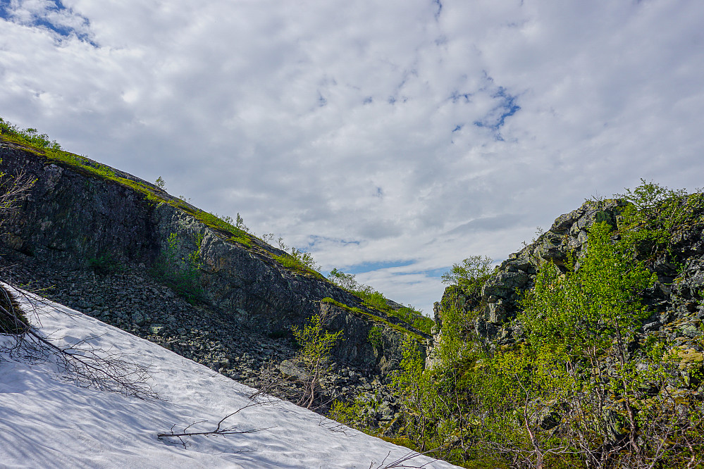 Fantastisk landskap etter en temmelig tett marsj gjennom bjørkeskogen 