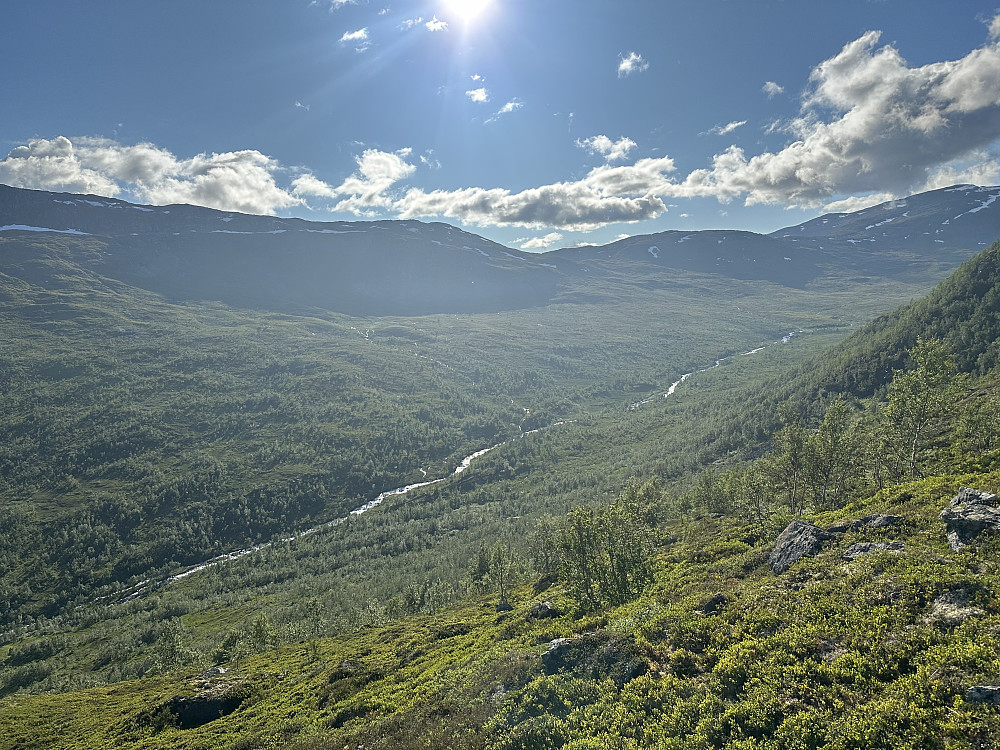 Døla