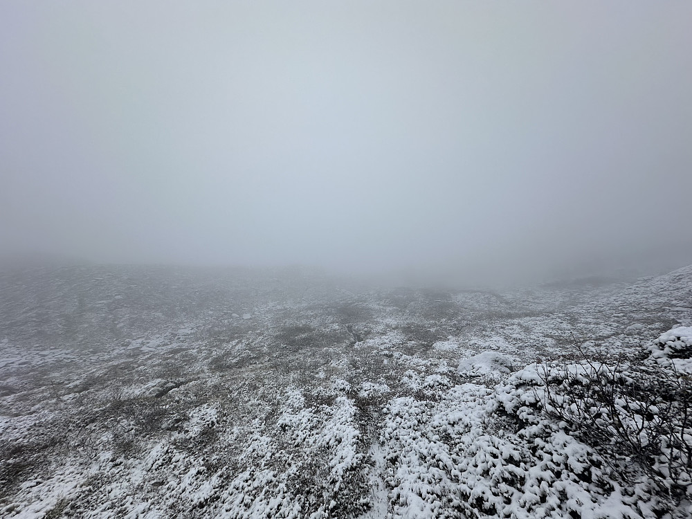 Begynner å bli morro nå