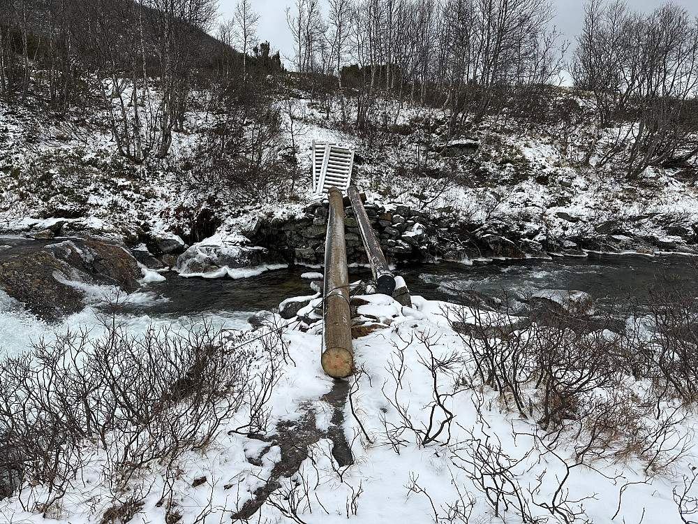 Tja med glissade