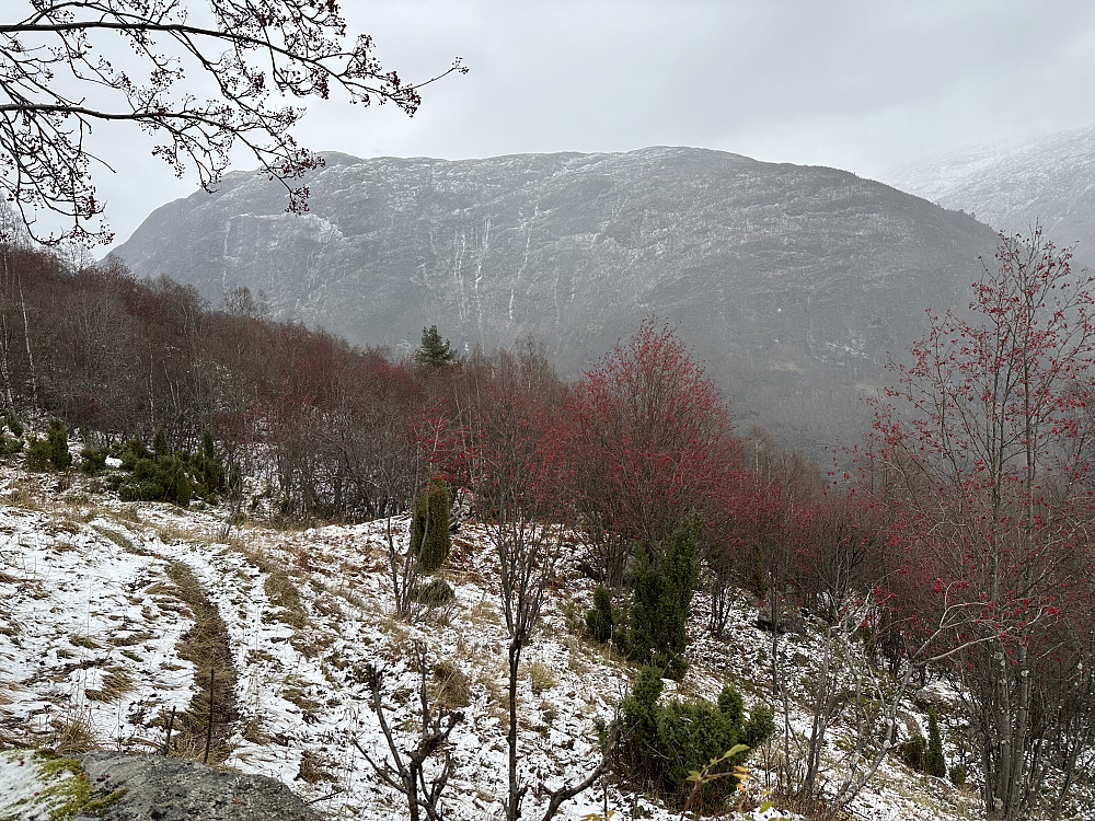 Rogn i bøtter og spann