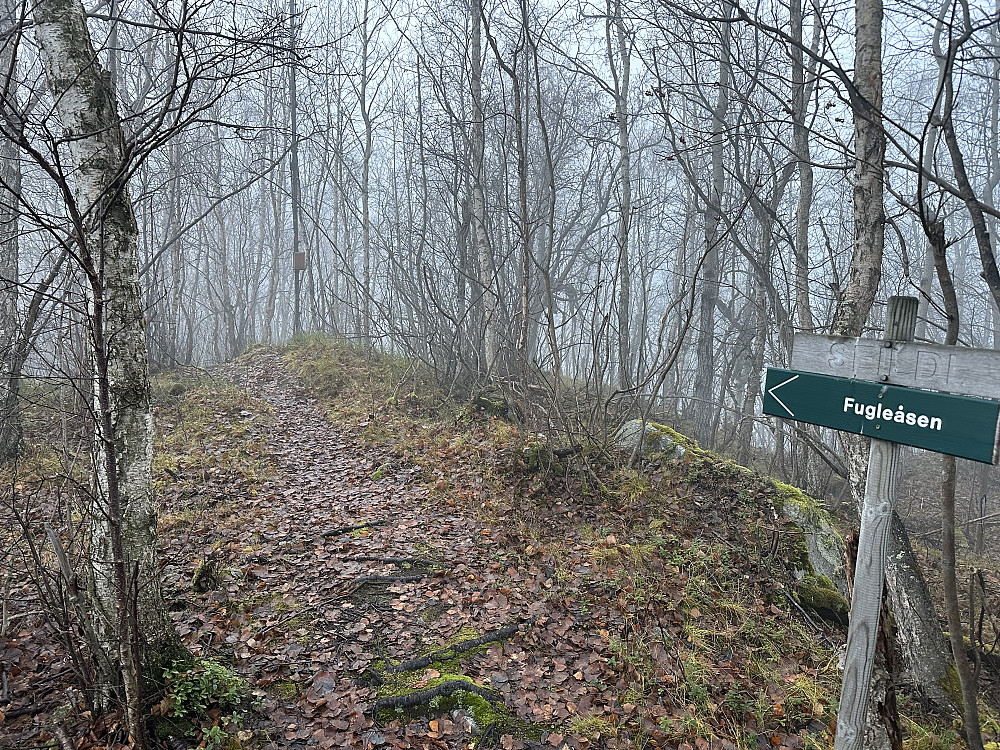 Nede i Tåka igjen ved stiskillet mot Fugleåsen