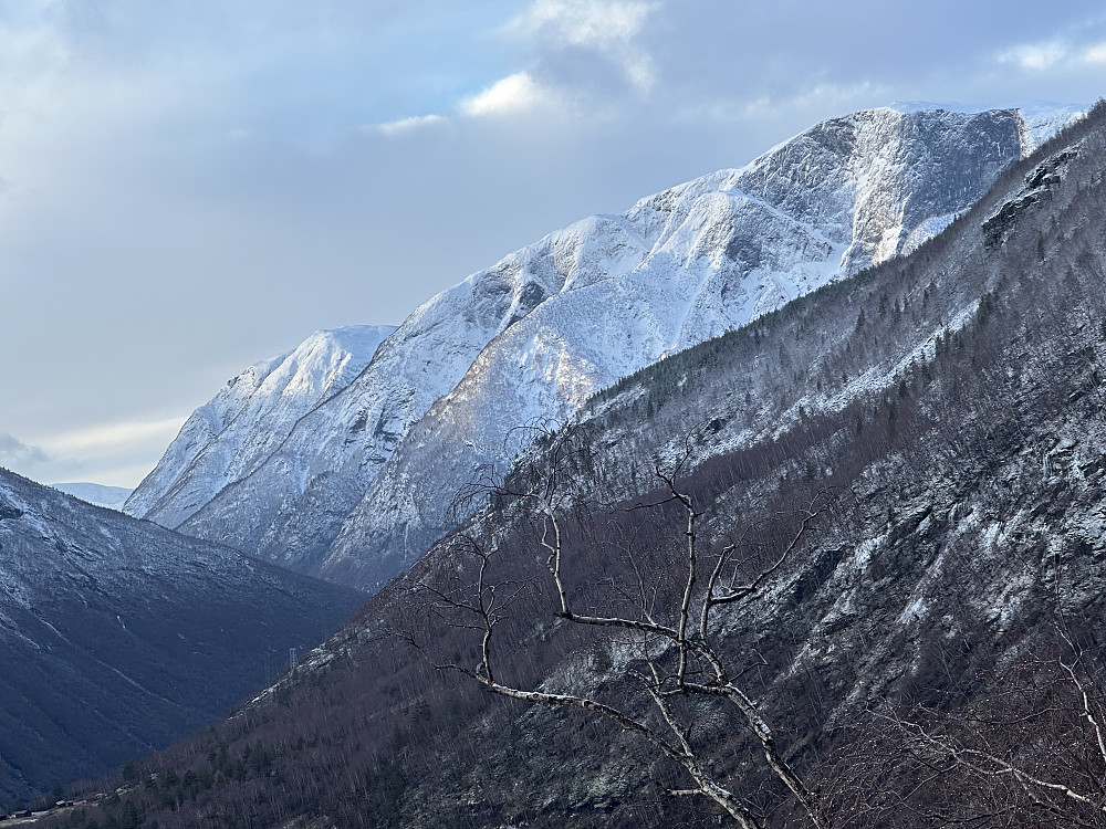 Bøttejuv